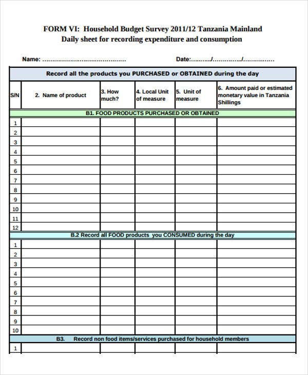 8 Daily Budget Templates Free Sample Example Format Download Free 