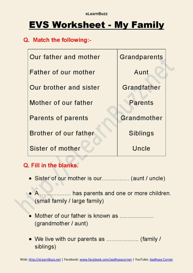 My Family Worksheet For EVS ELearnBuzz