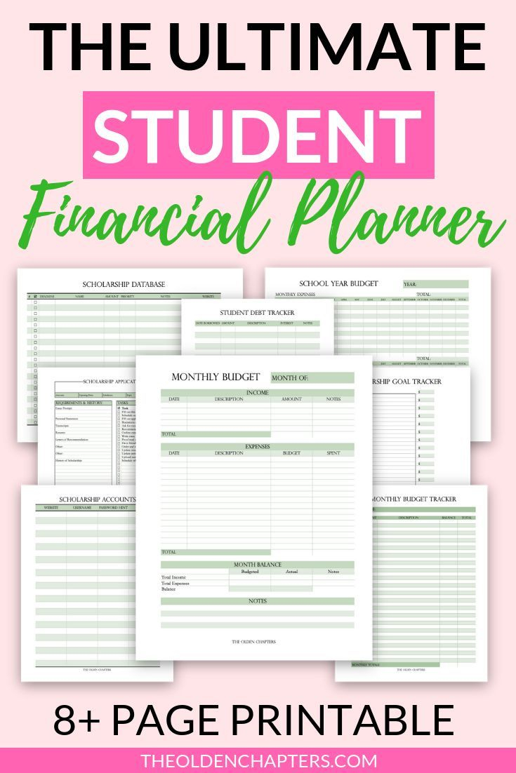 Student Financial Printable Bundle Financial Planner Budget Sheets 