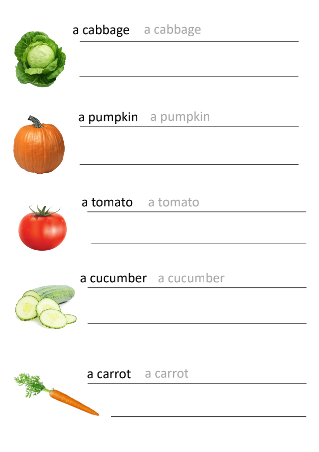 Worksheet Vegetables Made By Teachers