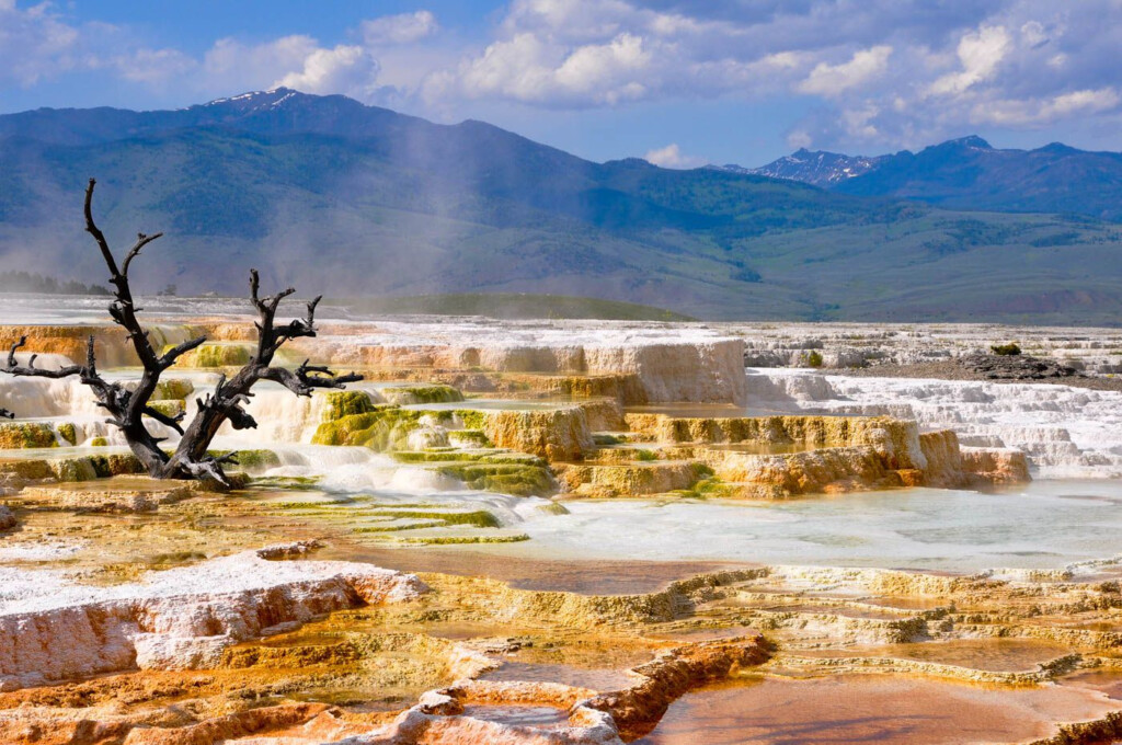 Yellowstone National Park Travel Costs Prices Old Faithful Hot 