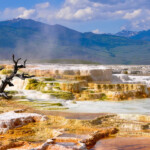 Yellowstone National Park Travel Costs Prices Old Faithful Hot