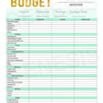 Monthly Budget Mint Finance Binder Money By GenesisPrintables Business